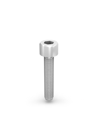 Hexagonal socket head cap screw M8x55