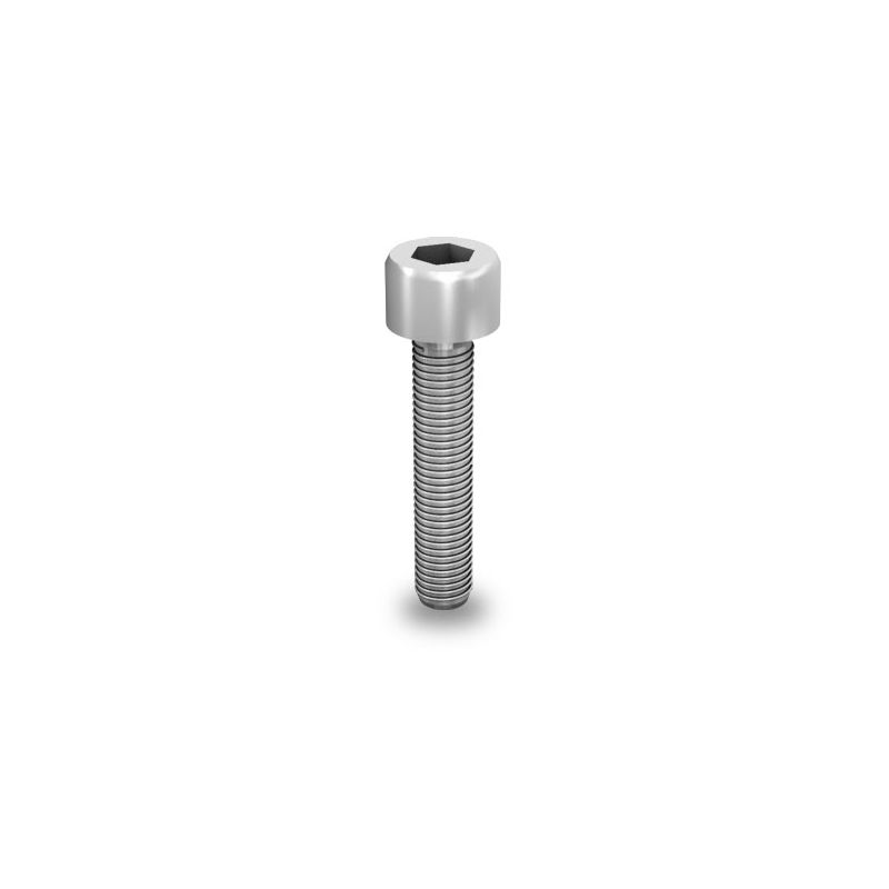 Hexagonal socket head cap screw M8x40